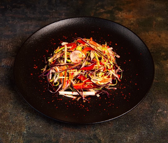 Fresh vegan Indian dishes delivered by Thindian Dark plate with a mixed salad with peppers, cabbage and radish